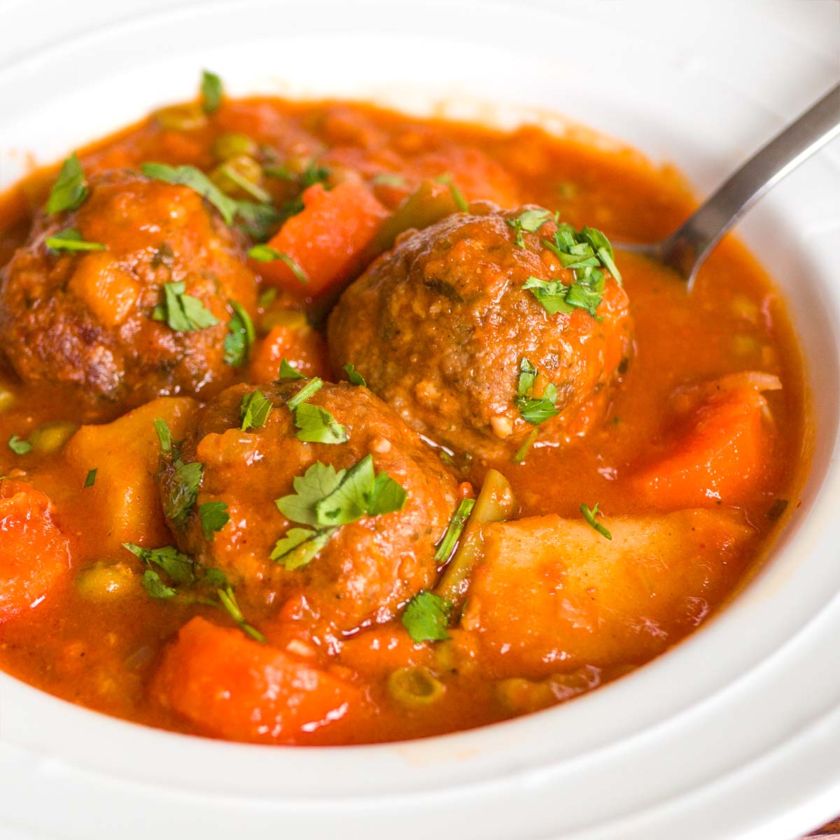 Albondigas en salsa
