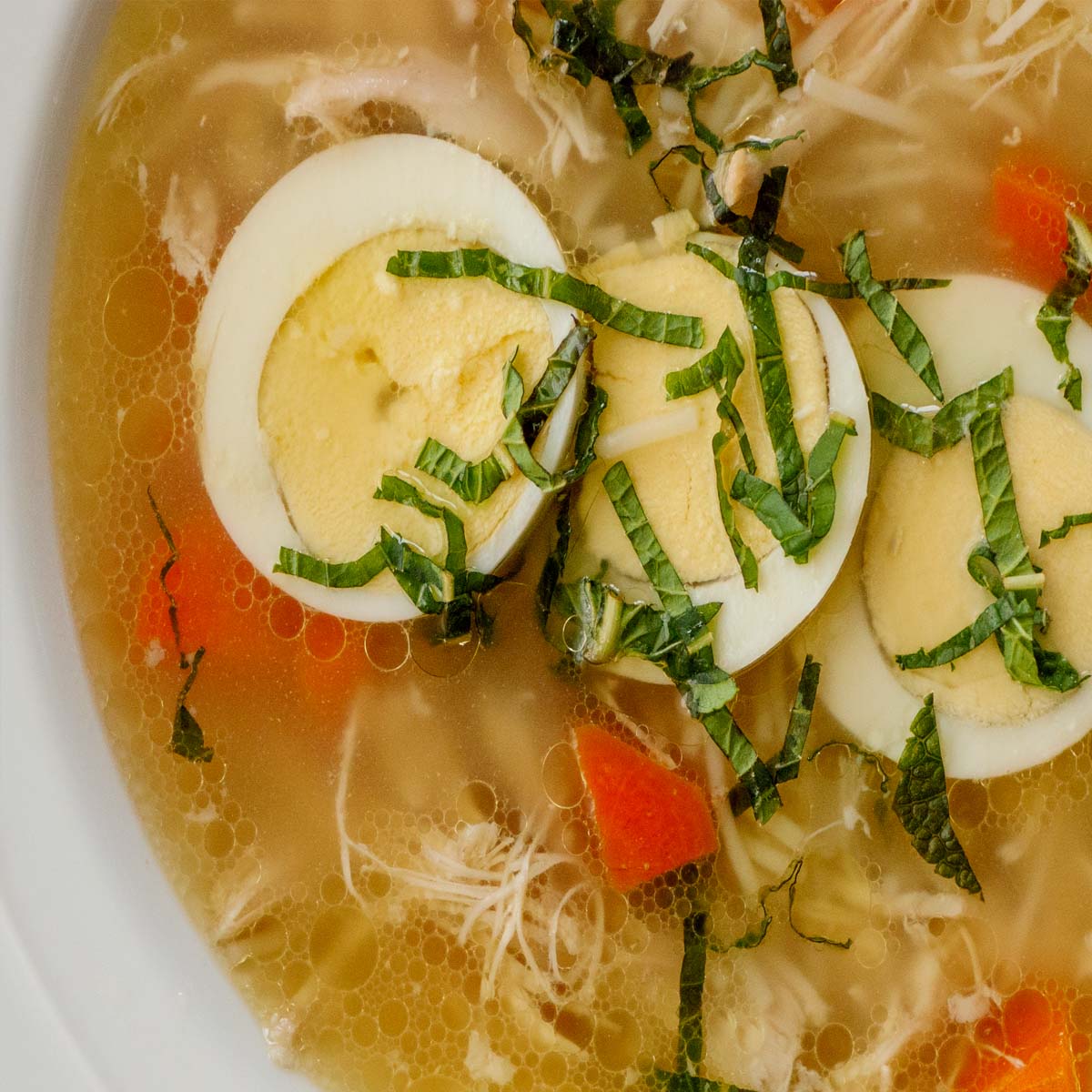 Sopa de pollo (